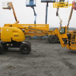 Jlg 450aj